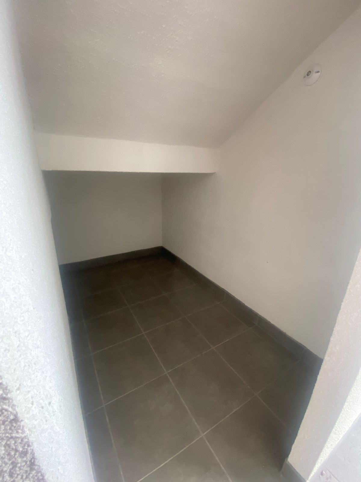 COMPLEJO INDSUTRIAL CAMPESTRE, CAES KM 22.5