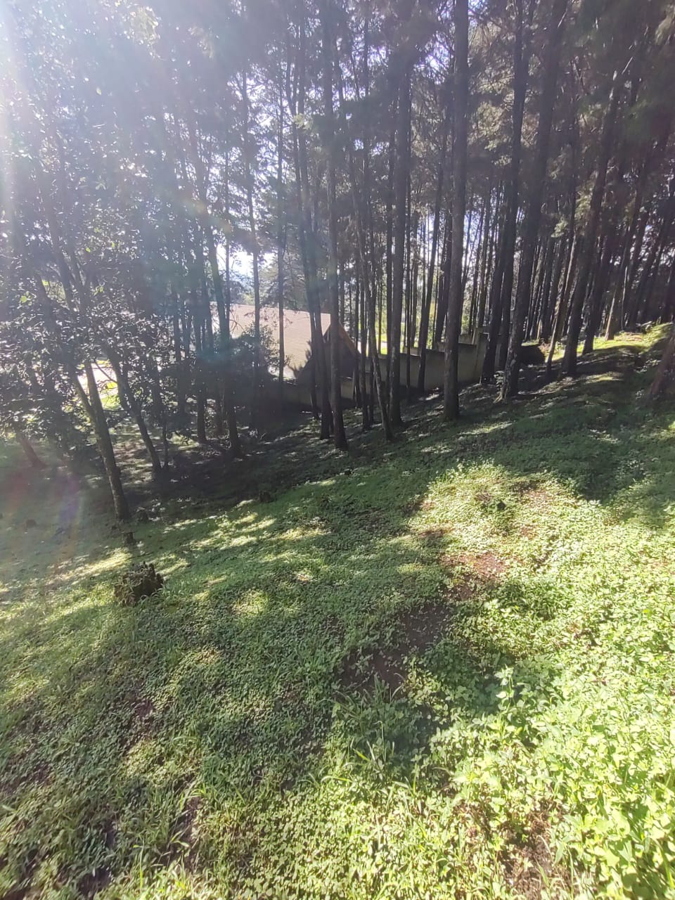 LA FONTANA 1, CAES KM 25.